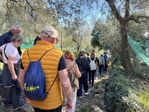 Andora, torna la camminata fra gli ulivi Andora, torna la camminata fra gli ulivi