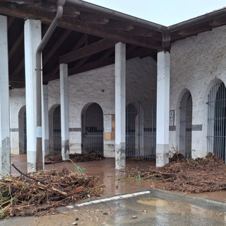 Foto Silvano Baccino