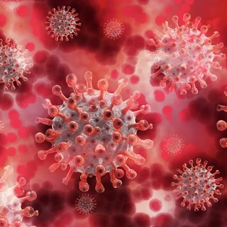 L'allarme di Uecoop Liguria: "Sette contagi su dieci sono nel comparto sanità e Rsa"