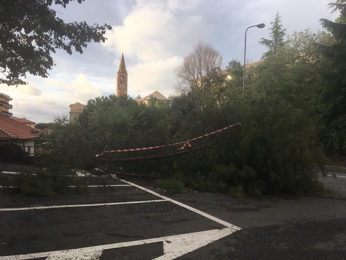 Tanti eventi a Celle Ligure per il mese di maggio Tanti eventi a Celle Ligure per il mese di maggio