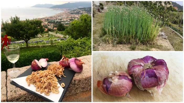 Verezzi svela i segreti della sua ultima De.Co: alle 19 la tavola rotonda "A Verezzi la cipolla è social"