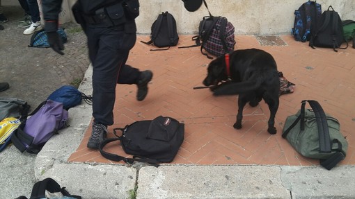 Controlli antidroga nelle scuole savonesi, denunciati 5 giovani Controlli antidroga nelle scuole savonesi, denunciati 5 giovani