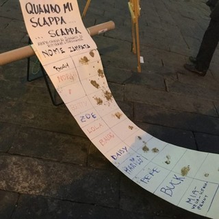 Savona, ordinanza deiezioni canine. Il sindaco Caprioglio: "Soluzioni condivise per contrastare il degrado"
