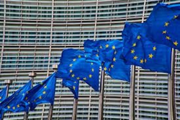 Come funziona la lotta contro gli incendi boschivi in Europa Come funziona la lotta contro gli incendi boschivi in Europa