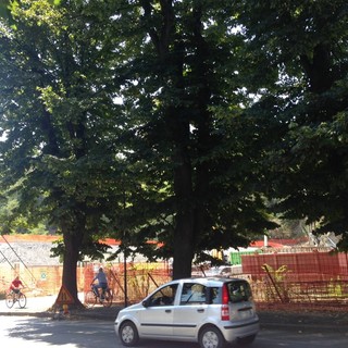 Attacco dei Verdi savonesi alla giunta Caprioglio sulla tutela del verde