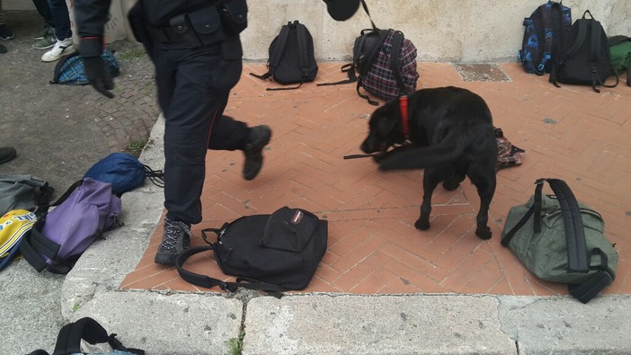 Controlli antidroga nelle scuole savonesi, denunciati 5 giovani