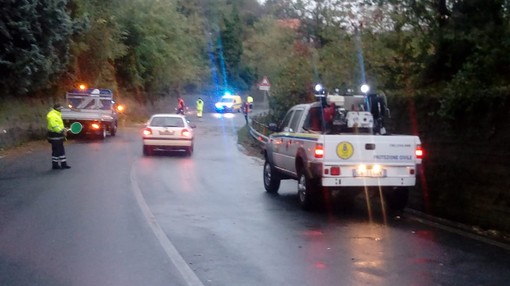 Stella, caduta albero in località Capannina: protezione civile al lavoro Stella, caduta albero in località Capannina: protezione civile al lavoro
