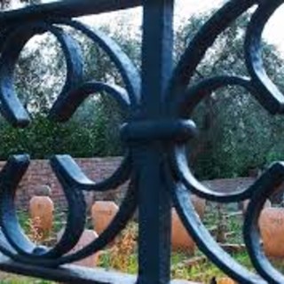 Albenga: un cimitero per gli animali domestici, questa la proposta del consigliere Ciangherotti
