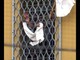 Martinelli (SAPPE): “In Liguria presenti 1.814 detenuti, ben oltre la capienza delle sette carceri regionali"