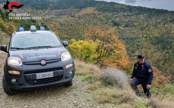 Fungaiolo muore nei boschi tra Bormida e Osiglia: intervento dei carabinieri forestali Fungaiolo muore nei boschi tra Bormida e Osiglia: intervento dei carabinieri forestali
