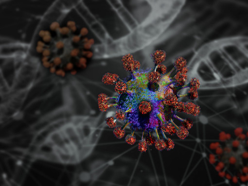 Coronavirus: la studentessa cinese da Wuhan è in isolamento fiduciario obbligatorio ed è in buone condizioni di salute Coronavirus: la studentessa cinese da Wuhan è in isolamento fiduciario obbligatorio ed è in buone condizioni di salute