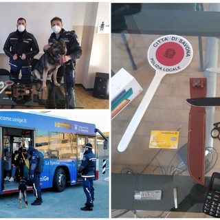 Controlli sui bus da parte della Polizia Locale: studente sorpreso con sostanze stupefacenti, coltello e tirapugni (FOTO)