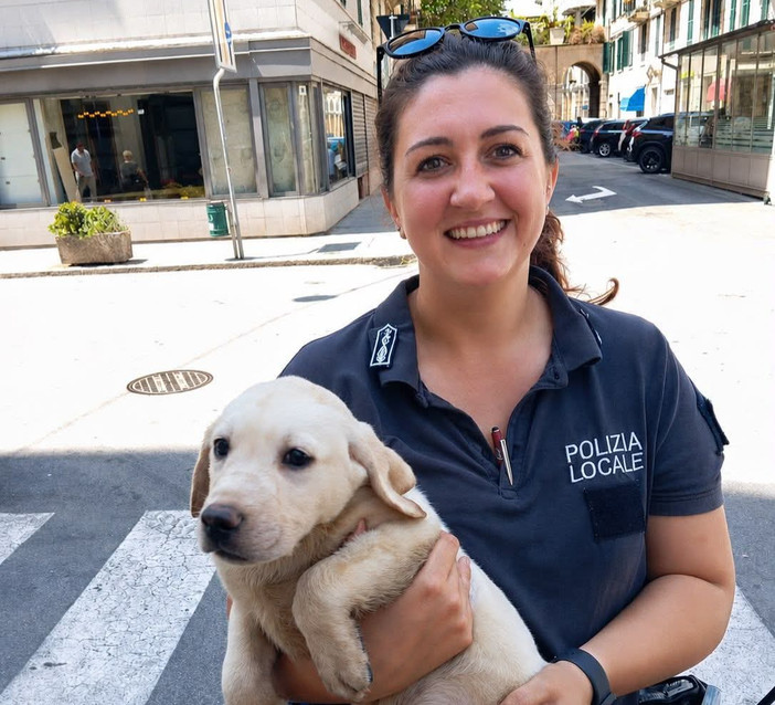 Sei cani soccorsi in un'abitazione a Savona dopo una segnalazione: intervento della polizia locale e del servizio veterinario