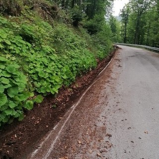 Forte vento fa crollare rami sulla strada del colle del Melogno: cantonieri al lavoro Forte vento fa crollare rami sulla strada del colle del Melogno: cantonieri al lavoro