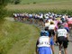 Il trofeo ciclistico di Laigueglia cerca sponsor: bando aperto fino al 27 dicembre