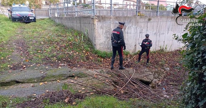 Omicidio di Ceriale, molestie ad una donna come movente: strangolato dal collare di un cane Omicidio di Ceriale, molestie ad una donna come movente: strangolato dal collare di un cane