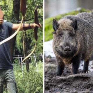 Caccia con arco e frecce, Osa: "Siamo preoccupati, Toti si faccia carico del disagio degli animalisti"