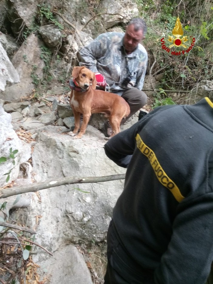 Alassio: due cani da caccia si infilano tra le rocce e non ne escono più. Salvati dai vigili del fuoco