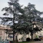 Foto pagina Facebook "Le Rive della Bormida (immagini di Cairo e dintorni)" Foto pagina Facebook "Le Rive della Bormida (immagini di Cairo e dintorni)"