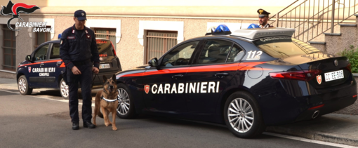 I carabinieri a scuola con l'unità cinofila, sevizio di prevenzione antidroga a Savona (FOTO) I carabinieri a scuola con l'unità cinofila, sevizio di prevenzione antidroga a Savona (FOTO)