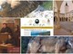 Storia, cultura e natura: l'estate dell'Associazione Emanuele Celesia porta eventi dal Finalese al Piemonte Storia, cultura e natura: l'estate dell'Associazione Emanuele Celesia porta eventi dal Finalese al Piemonte
