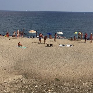 A Savona superati i valori limite dell' Escherichia Coli, divieto di balneazione nel tratto di mare davanti alla piscina Zanelli
