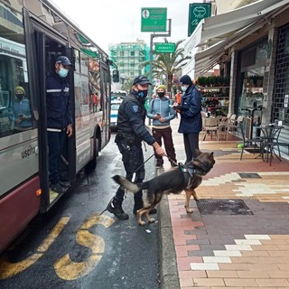 Foto comunicato stampa