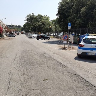 Savona, mercoledì 31 luglio divieto di sosta in Corso Colombo per lavori di potatura e pulizia