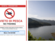 Osiglia, scatta il divieto di pesca dopo la moria di carpe: trovato il virus KHV Osiglia, scatta il divieto di pesca dopo la moria di carpe: trovato il virus KHV