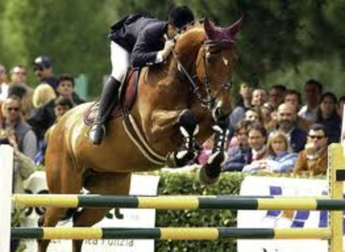 Un talento dell'equitazione abita a Finale: Il ragazzo che sussurra ai cavalli Un talento dell'equitazione abita a Finale: Il ragazzo che sussurra ai cavalli