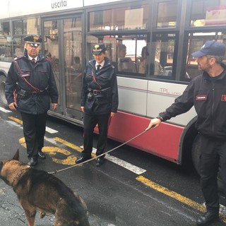 Controlli dei carabinieri su autobus e fermate, TPL: "Per noi questi interventi sono preziosizzimi"