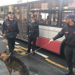 Controlli dei carabinieri su autobus e fermate, TPL: &quot;Per noi questi interventi sono preziosizzimi&quot;
