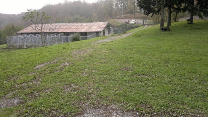 Il Canile di Cairo Montenotte cerca volontari