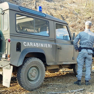 Controlli dei carabinieri forestali a Sassello e Varazze: denunciate tre persone per aver mascherato la targa dei loro veicoli con nastro adesivo