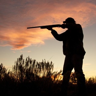 Libertà di movimento inter-comunale per i cacciatori liguri: LAC attacca il presidente Toti: "Ordinanza surreale"