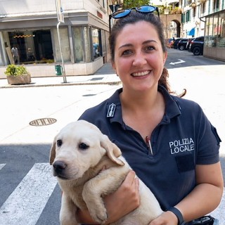 Sei cani soccorsi in un'abitazione a Savona dopo una segnalazione: intervento della polizia locale e del servizio veterinario Sei cani soccorsi in un'abitazione a Savona dopo una segnalazione: intervento della polizia locale e del servizio veterinario
