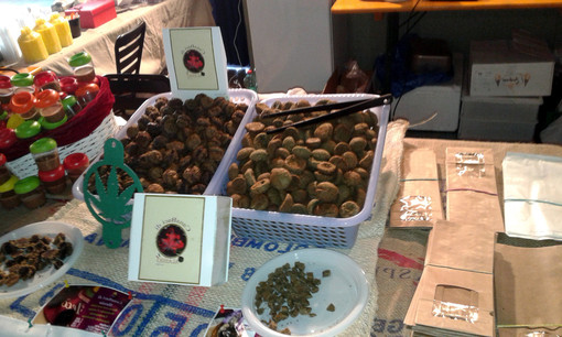 Perlecò, il gelato di Alassio, vince il premio "miglior prodotto" a Canapa Mundi Fiera Internazionale della canapa di Roma