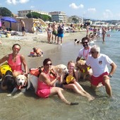 In difficoltà in mare ad Albissola: ragazza soccorsa dai cani di salvataggio In difficoltà in mare ad Albissola: ragazza soccorsa dai cani di salvataggio