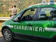 Borgio Verezzi, i carabinieri forestali sequestrano un cantiere per la ristrutturazione di una casa: quattro persone denunciate
