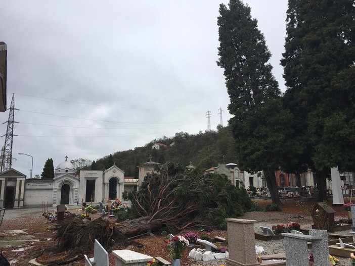 Tromba d'aria a Carcare: tetti danneggiati e alberi abbattuti (FOTO) Tromba d'aria a Carcare: tetti danneggiati e alberi abbattuti (FOTO)