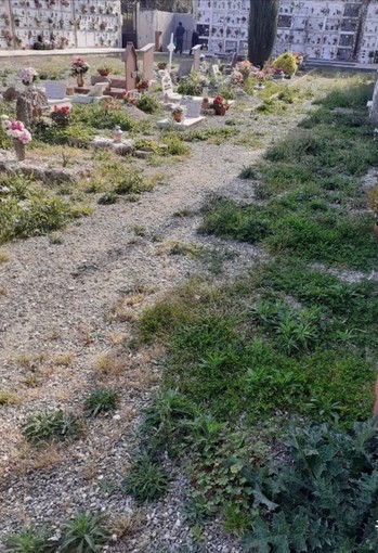 Roberto Tomatis (FdI): "Amministrazione di Albenga con gli occhi bendati ignora lo stato di degrado e l’incuria dei cimiteri"