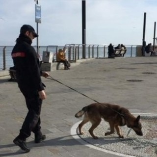Controlli dei carabinieri nel savonese, 10 le sanzioni per le violazioni delle norme anti Covid