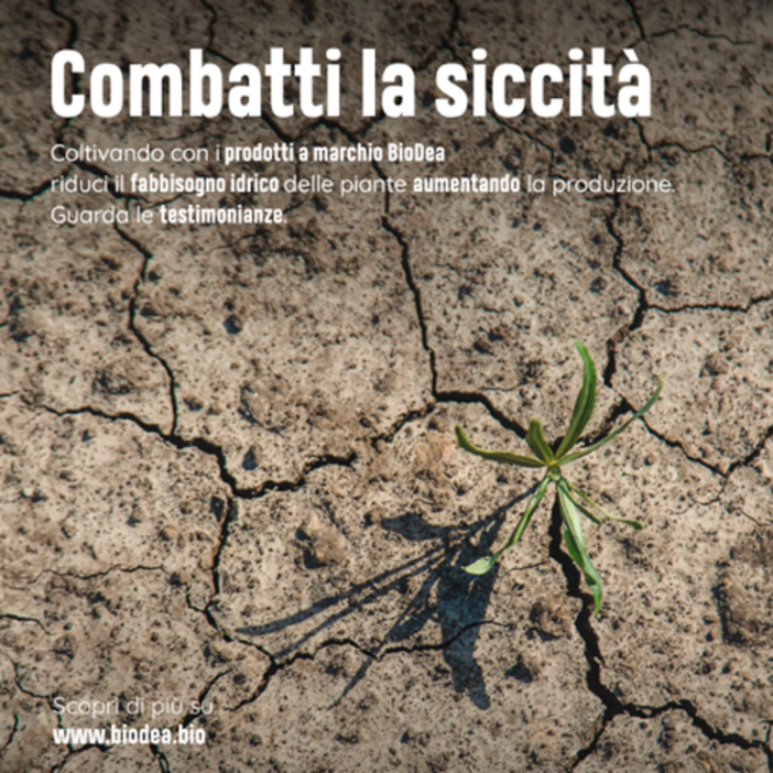 Combatti la siccità Combatti la siccità