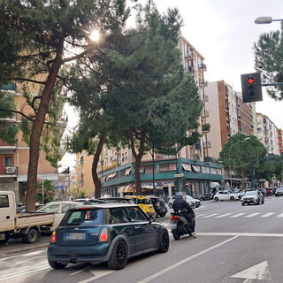 Savona, sicurezza e mobilità a Oltre-Letimbro, prosegue il confronto tra quartiere e istituzioni, la settimana prossima parte la potatura degli alberi