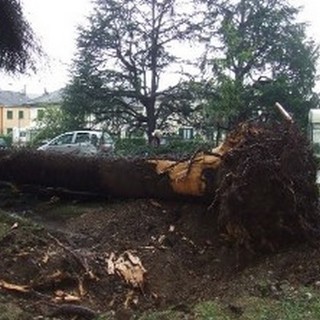 Loano: interventi in città e a Boissano per il forte vento