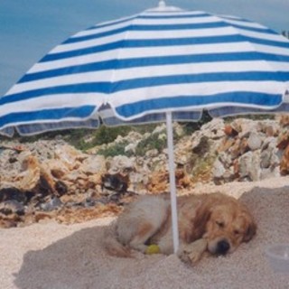 Immagine di repertorio