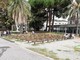 Università, via alla ripartenza con aule al 20%. Rettore Delfino: "Vogliamo dare un segnale"
