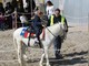 Andora, rinviata la manifestazione "A cavallo tra le onde"
