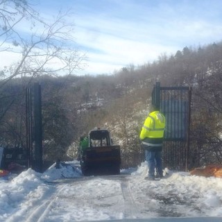 Strage di alberi al Cadibona, disagi anche per il rifugio della Protezione Animali Strage di alberi al Cadibona, disagi anche per il rifugio della Protezione Animali