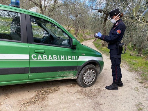 Depositi abusivi di materiali e abbandono di rifiuti: intervento del corpo Forestale dei carabinieri a Pallare Depositi abusivi di materiali e abbandono di rifiuti: intervento del corpo Forestale dei carabinieri a Pallare